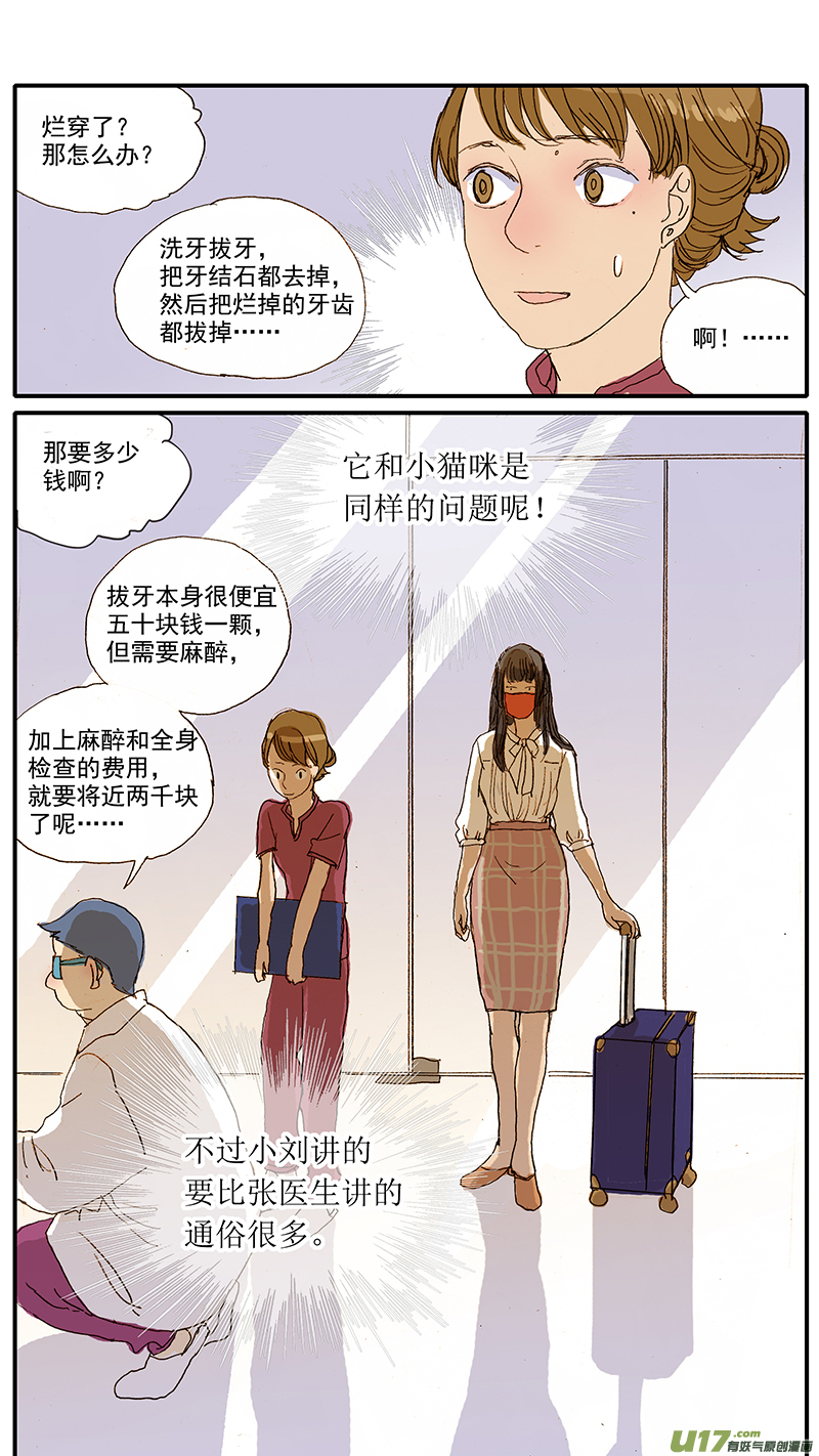 《百足宠物诊所》087 齿根脓肿 第9页