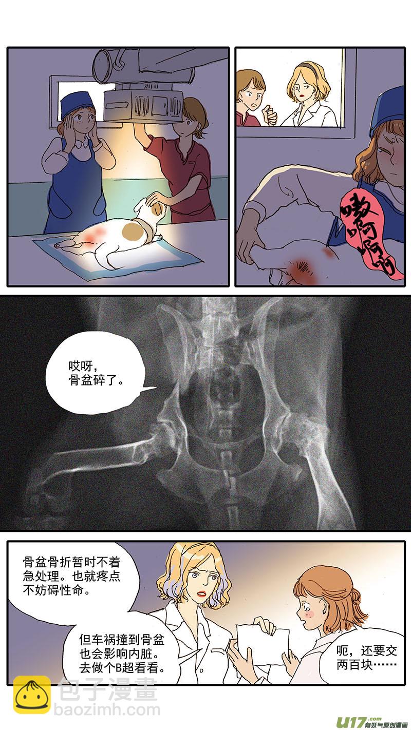 《百足宠物诊所》090 膀胱破裂 第5页