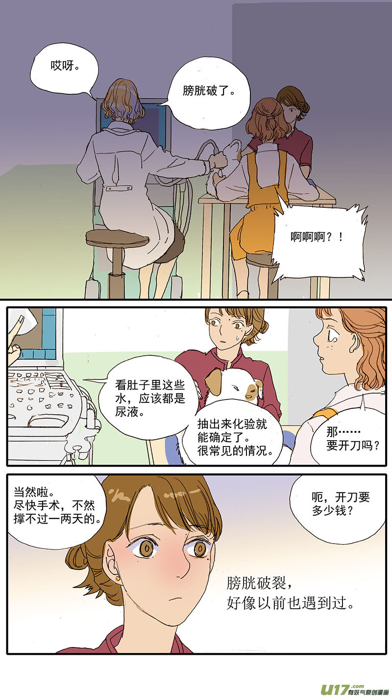 《百足宠物诊所》090 膀胱破裂 第6页