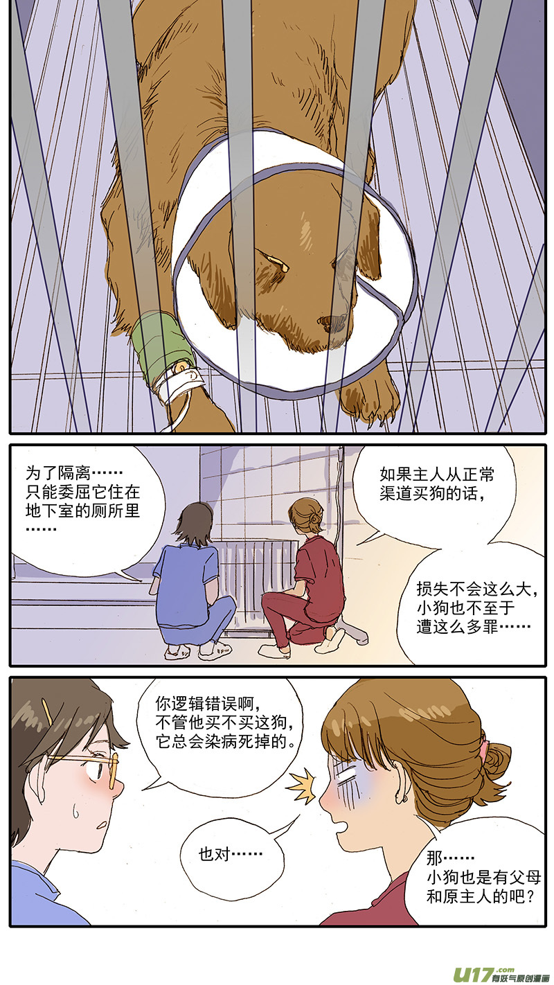 《百足宠物诊所》092 有偿领养骗局 第12页