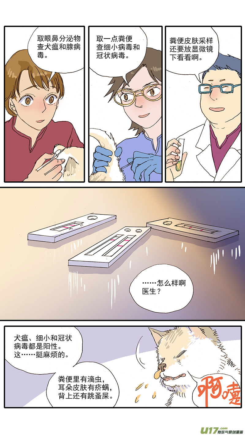 《百足宠物诊所》092 有偿领养骗局 第2页