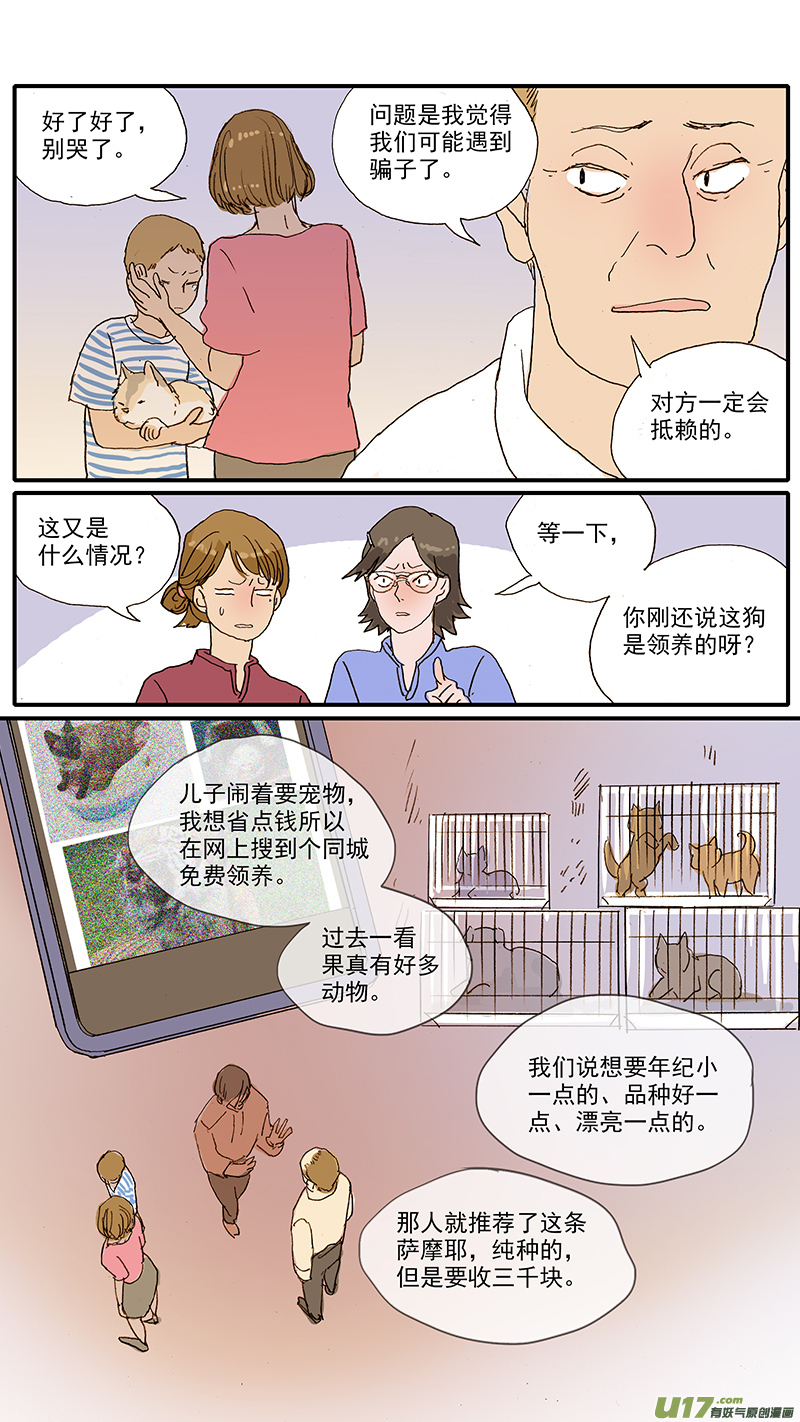 《百足宠物诊所》092 有偿领养骗局 第5页