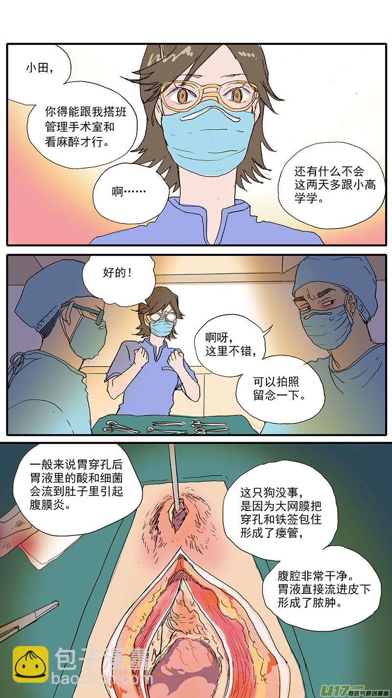 《百足宠物诊所》100 犭消化道异物（钢签） 第12页