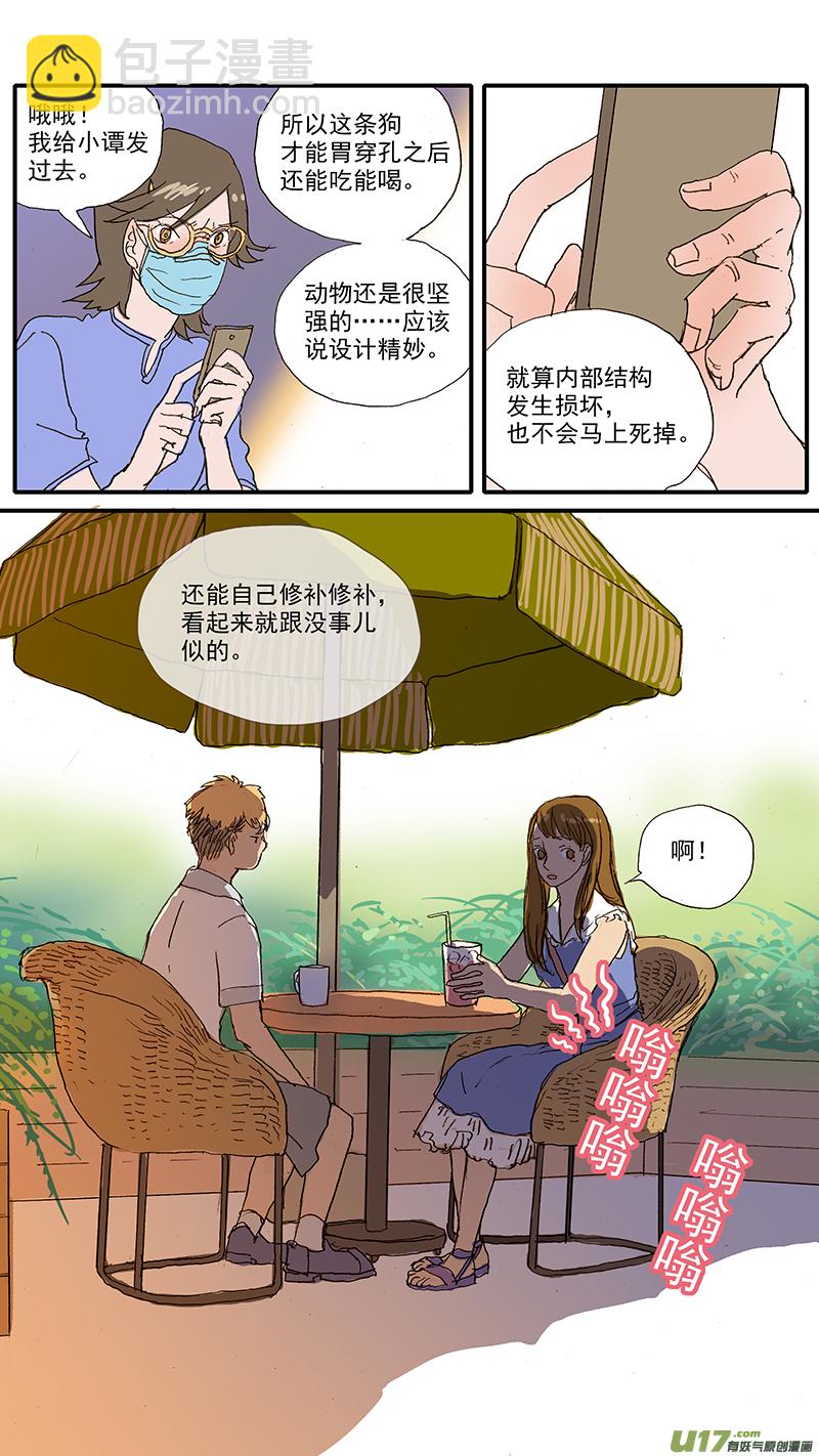 《百足宠物诊所》100 犭消化道异物（钢签） 第13页