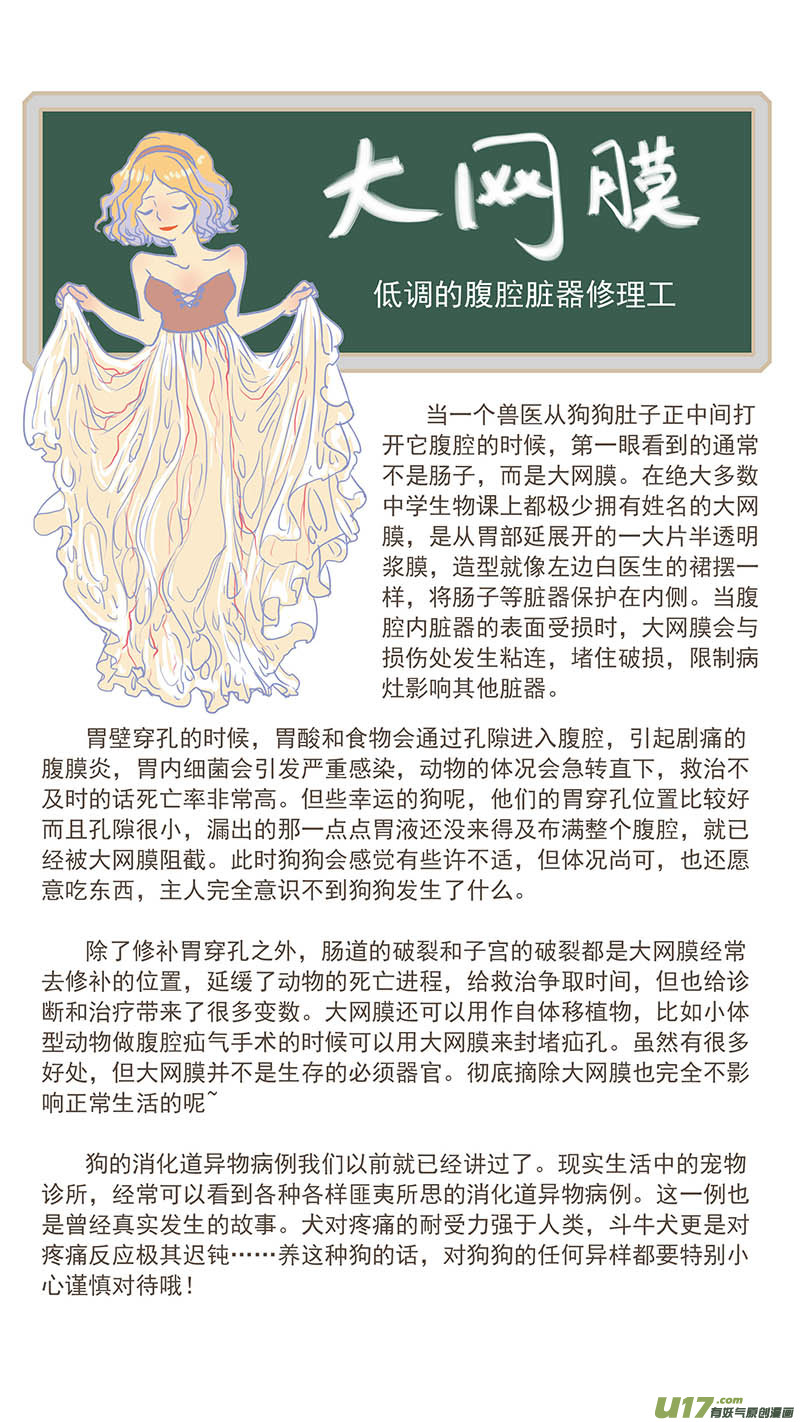《百足宠物诊所》100 犭消化道异物（钢签） 第15页