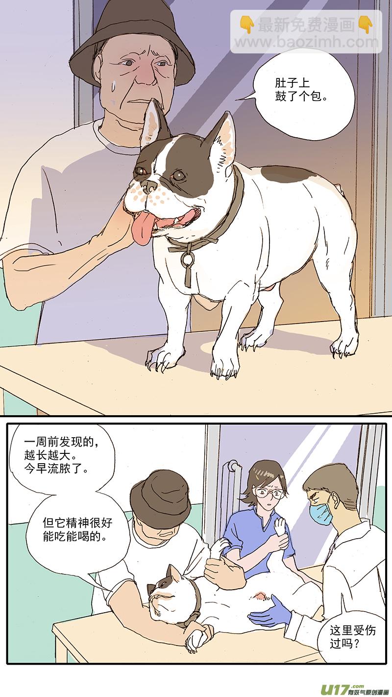 《百足宠物诊所》100 犭消化道异物（钢签） 第4页