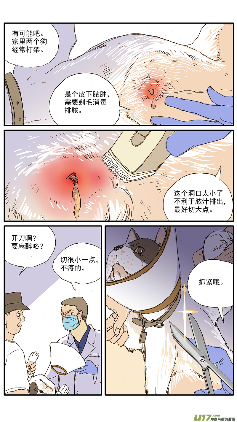 《百足宠物诊所》100 犭消化道异物（钢签） 第5页