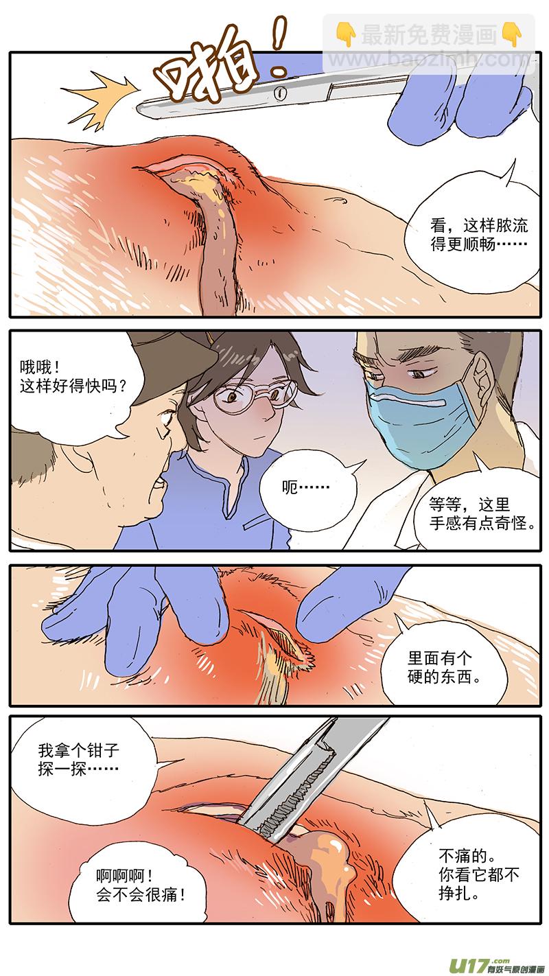 《百足宠物诊所》100 犭消化道异物（钢签） 第6页