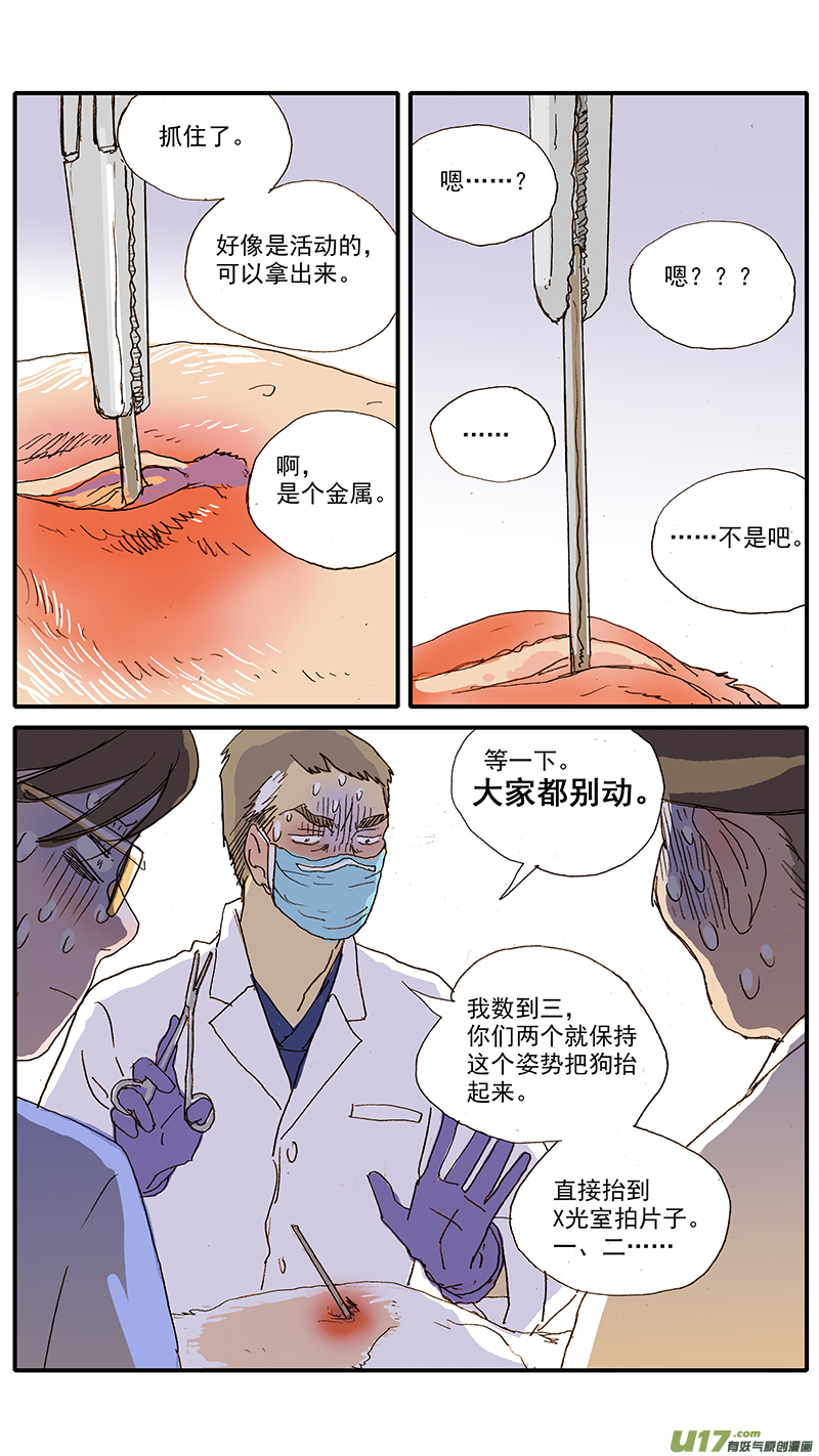 《百足宠物诊所》100 犭消化道异物（钢签） 第7页