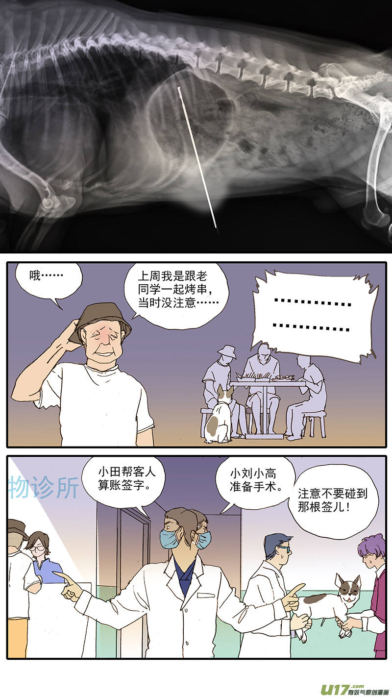 《百足宠物诊所》100 犭消化道异物（钢签） 第8页