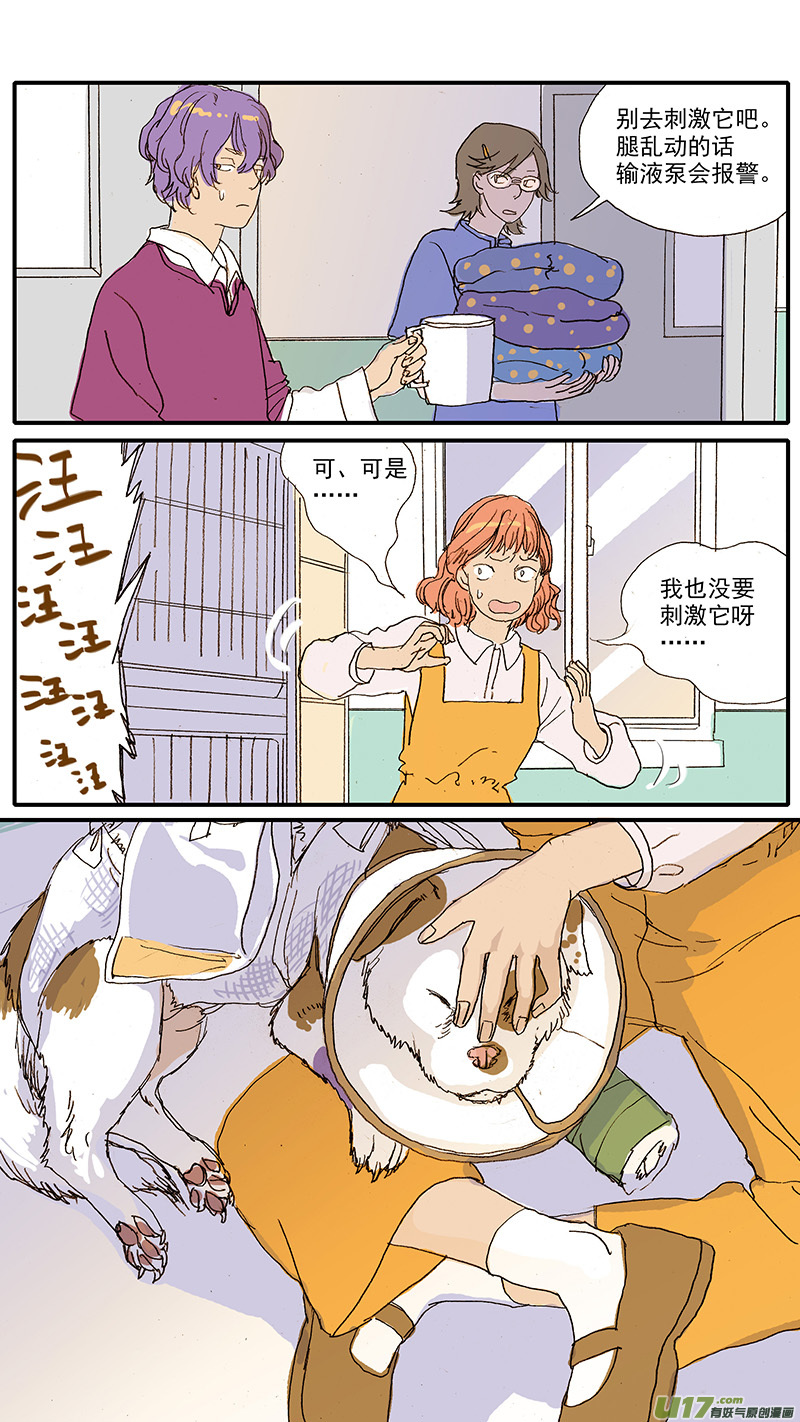《百足宠物诊所》097 狗狗挑食怎么办 第4页