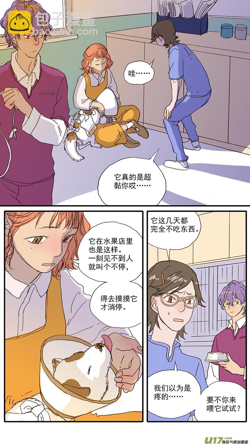 《百足宠物诊所》097 狗狗挑食怎么办 第5页