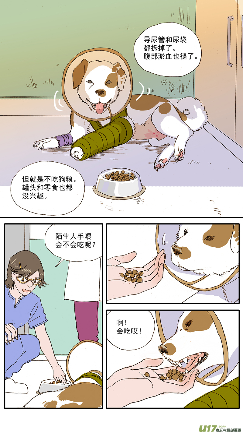 《百足宠物诊所》098 问题行为（饭盆恐惧） 第3页