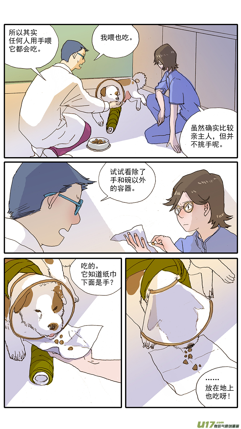 《百足宠物诊所》098 问题行为（饭盆恐惧） 第4页