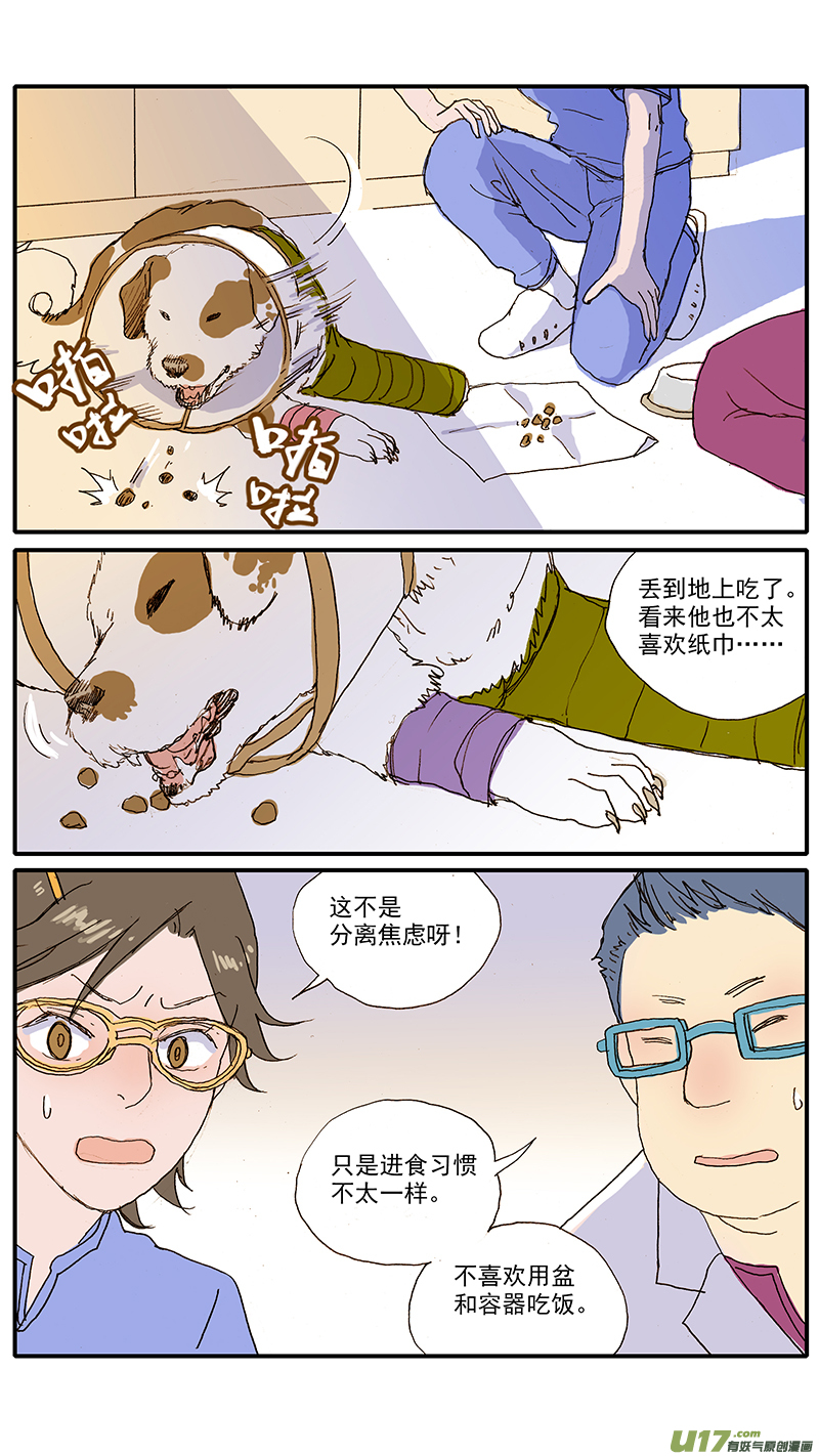 《百足宠物诊所》098 问题行为（饭盆恐惧） 第5页