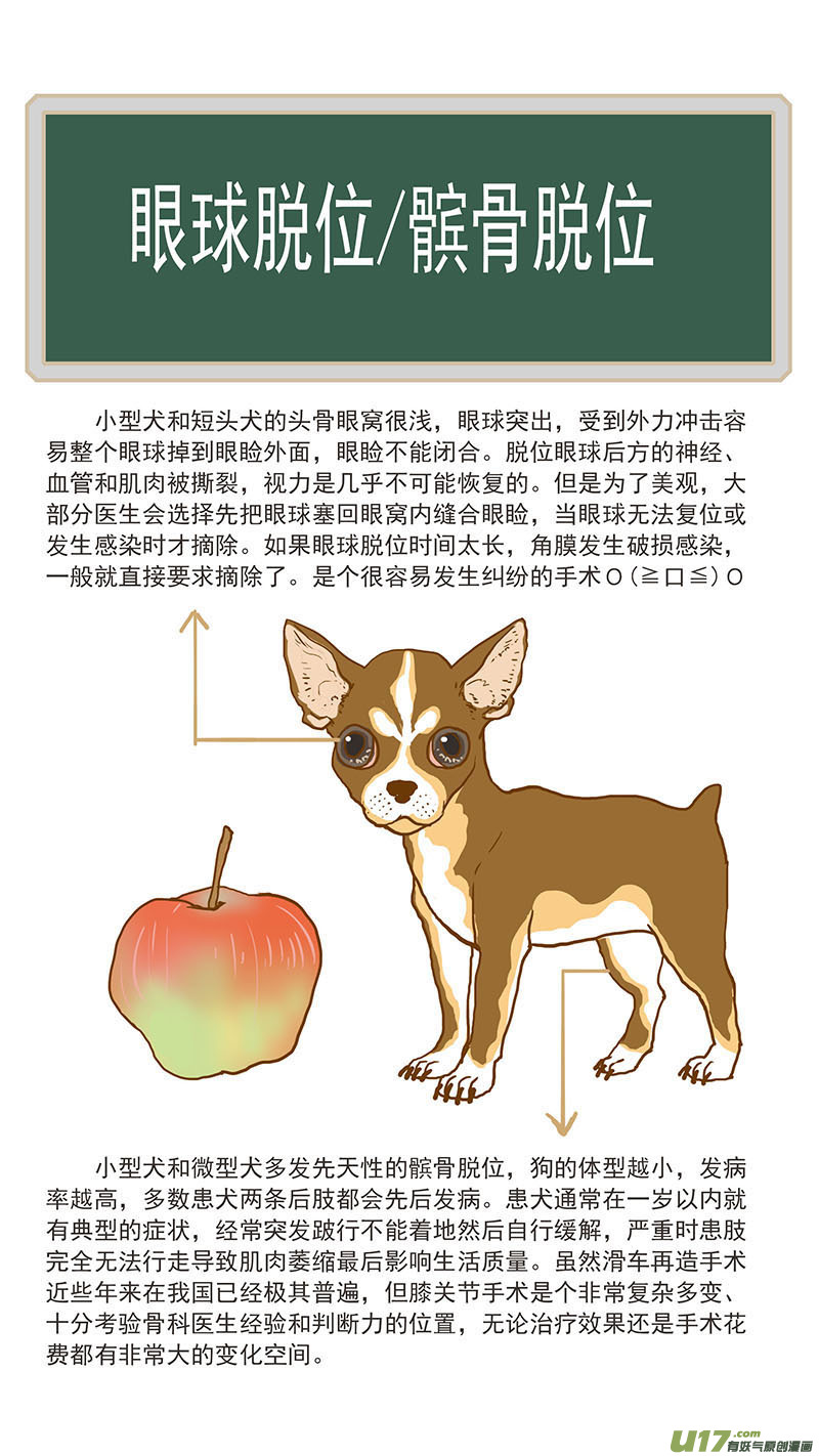《百足宠物诊所》104 眼球脱位 第15页