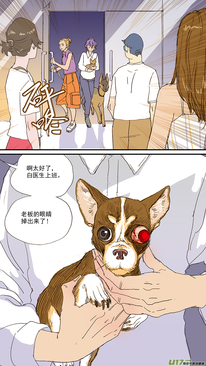 《百足宠物诊所》104 眼球脱位 第5页