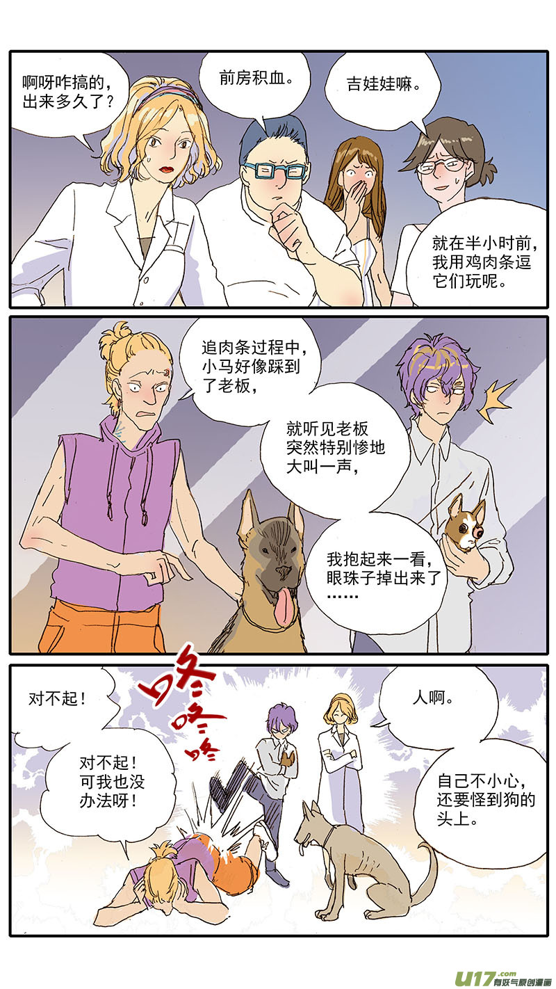 《百足宠物诊所》104 眼球脱位 第6页