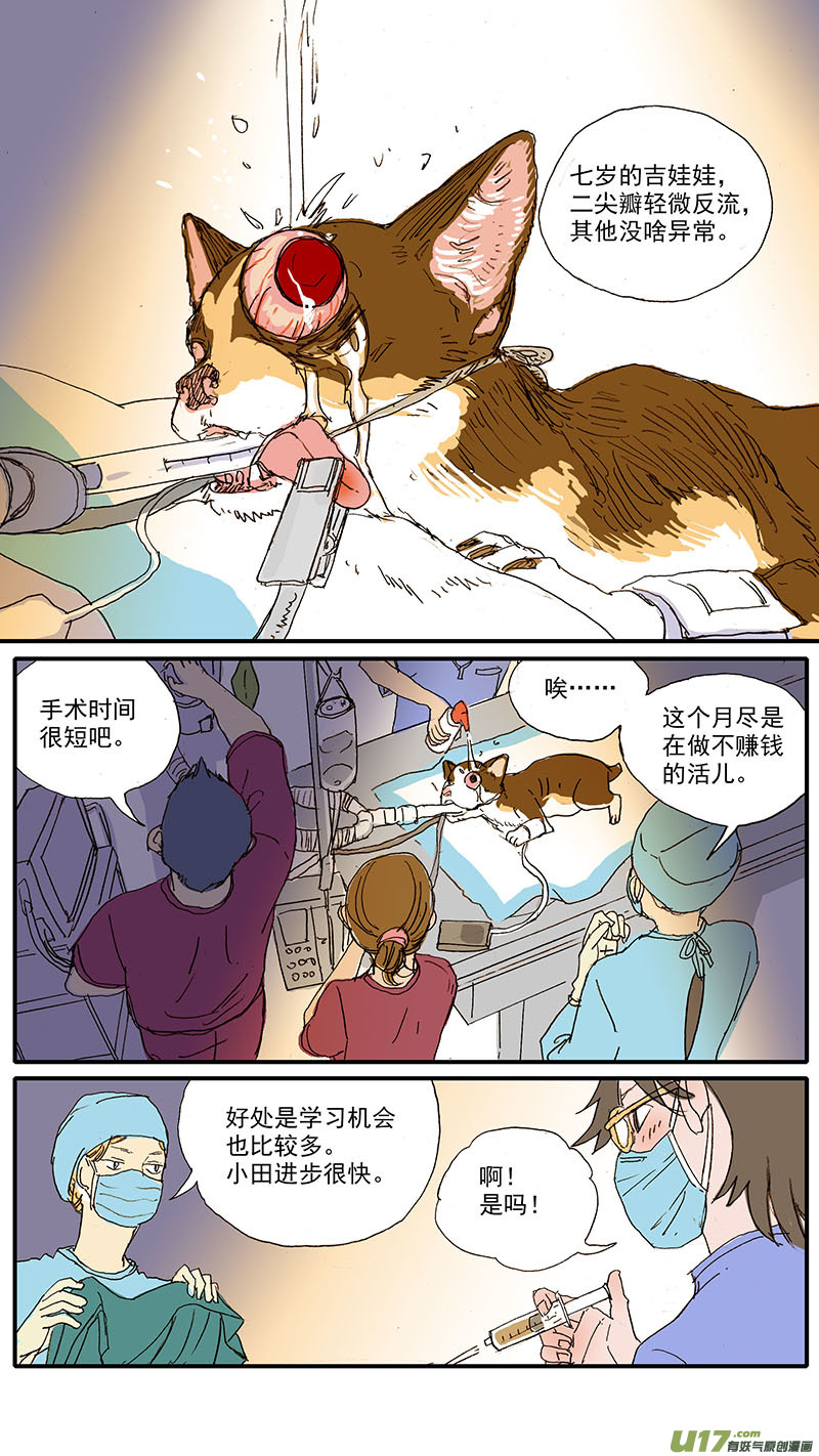 《百足宠物诊所》104 眼球脱位 第8页