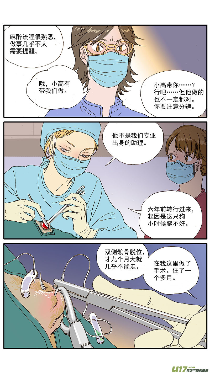 《百足宠物诊所》104 眼球脱位 第9页