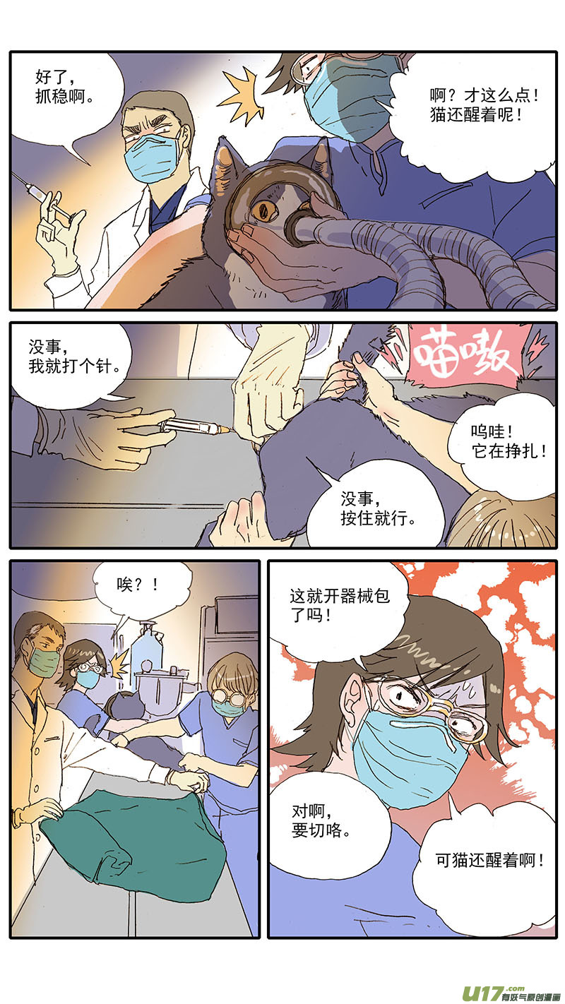 《百足宠物诊所》103 麻醉方法的选择 第11页