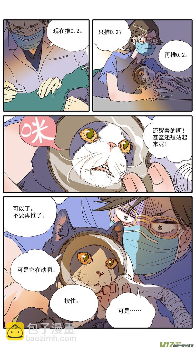 《百足宠物诊所》103 麻醉方法的选择 第12页