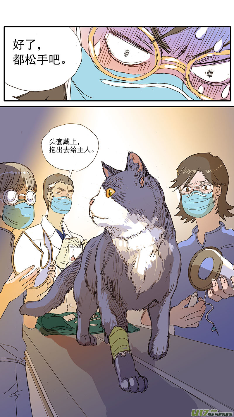《百足宠物诊所》103 麻醉方法的选择 第13页
