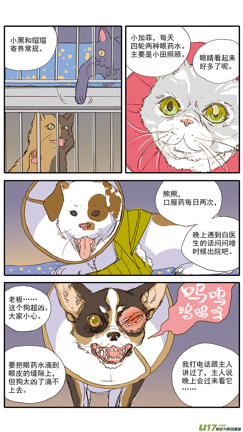 《百足宠物诊所》105 第4页
