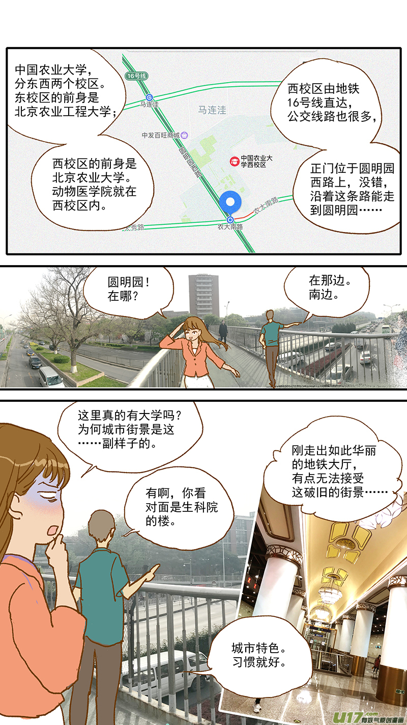 《百足宠物诊所》107 中国农业大学动物医院 第2页