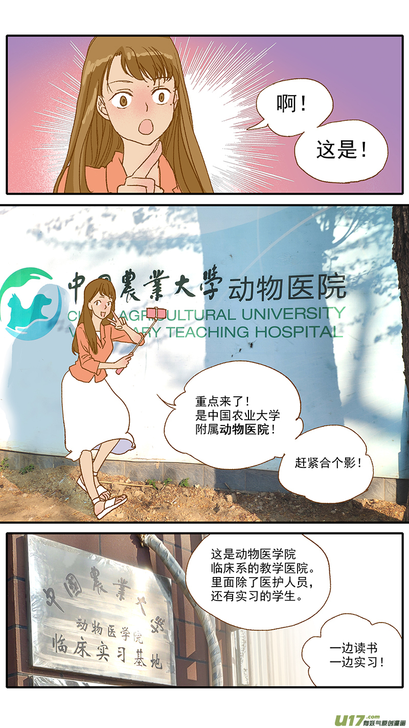 《百足宠物诊所》107 中国农业大学动物医院 第8页