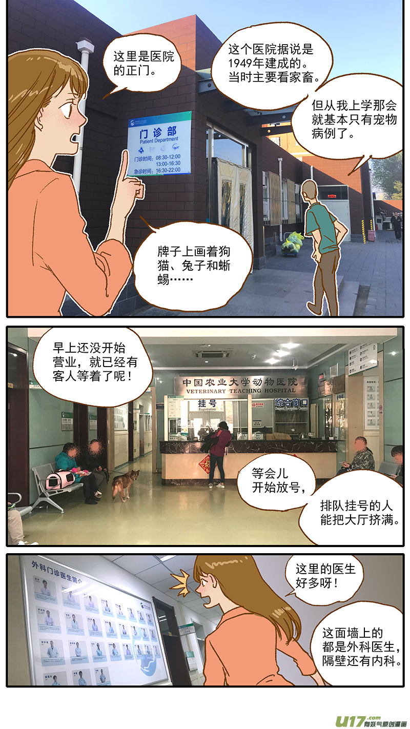 《百足宠物诊所》107 中国农业大学动物医院 第9页