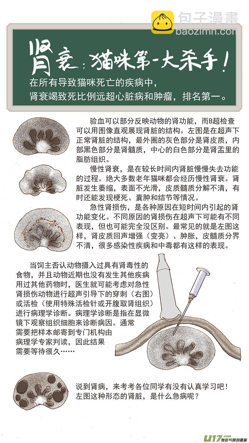 《百足宠物诊所》108 猫的肾病 第15页