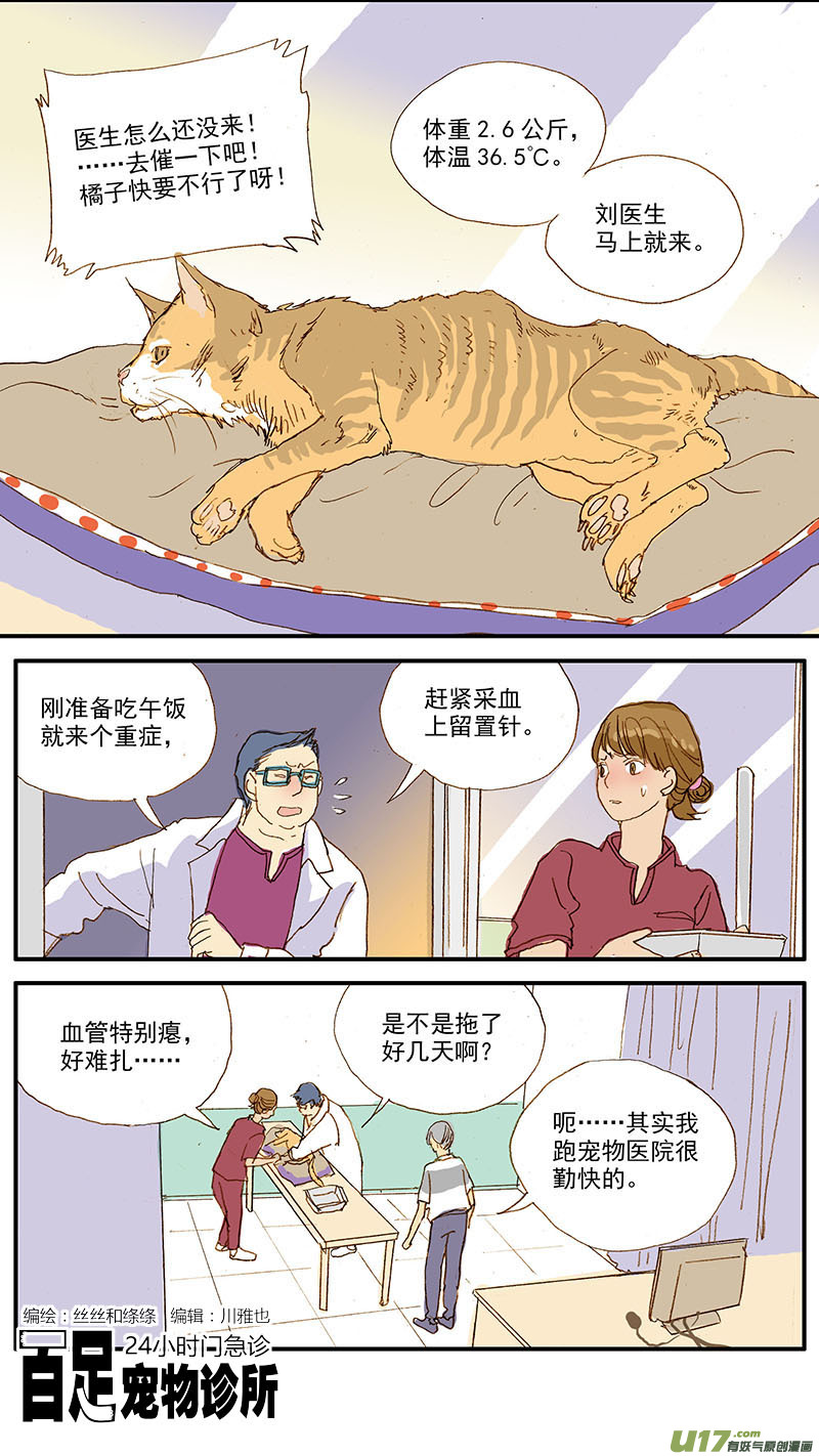 《百足宠物诊所》108 猫的肾病 第1页