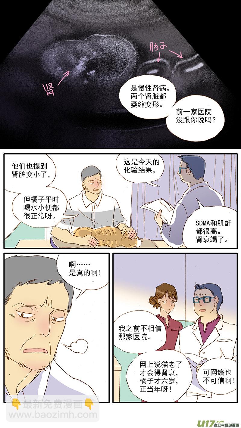 《百足宠物诊所》108 猫的肾病 第3页