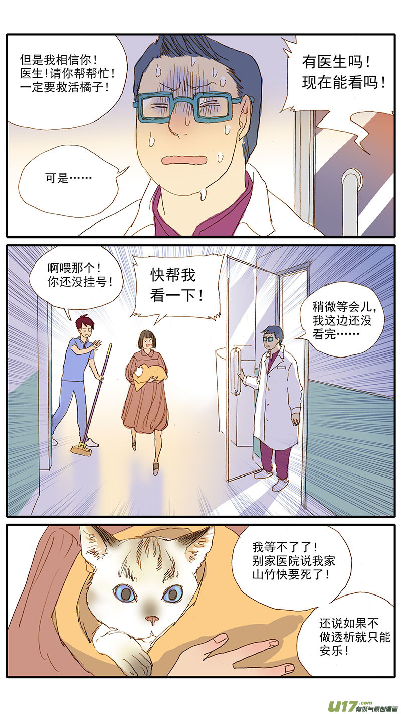 《百足宠物诊所》108 猫的肾病 第4页