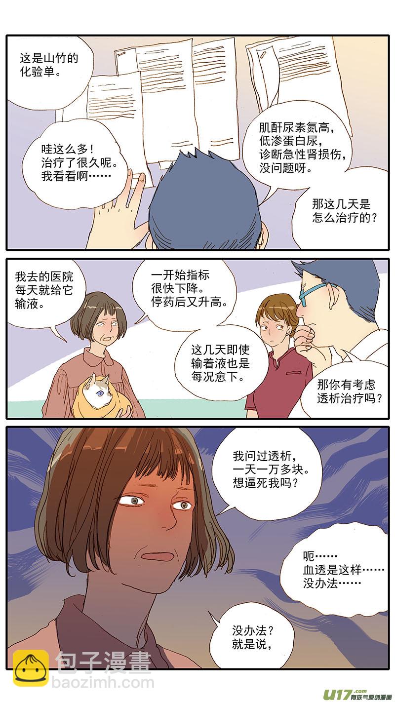 《百足宠物诊所》108 猫的肾病 第5页