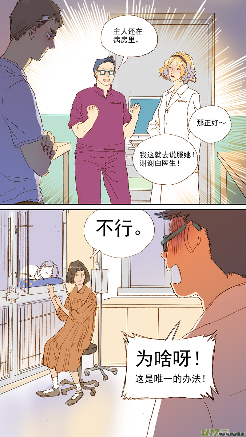 《百足宠物诊所》108 猫的肾病 第9页