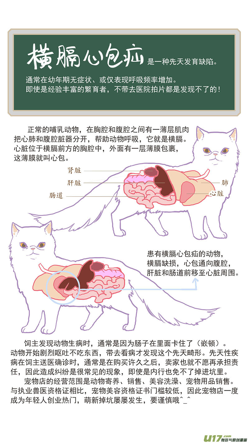 《百足宠物诊所》110 横膈心包疝 第12页