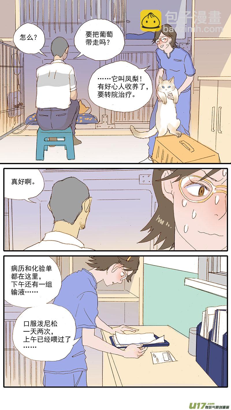 《百足宠物诊所》110 横膈心包疝 第13页