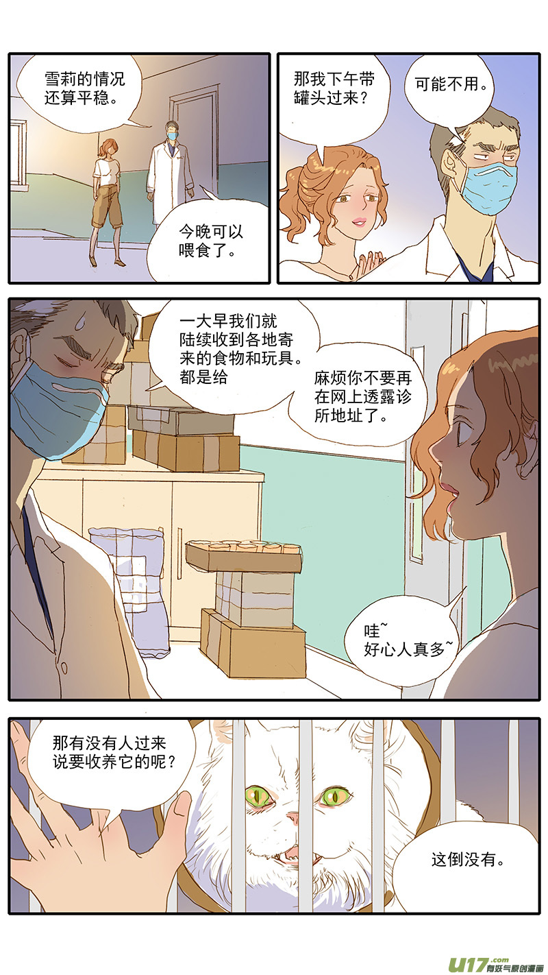 《百足宠物诊所》112 宠物美容 第11页