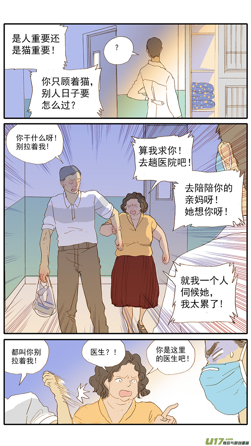《百足宠物诊所》112 宠物美容 第12页