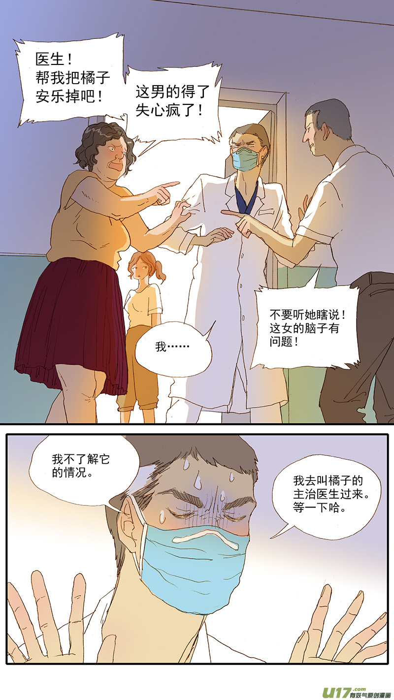 《百足宠物诊所》112 宠物美容 第13页