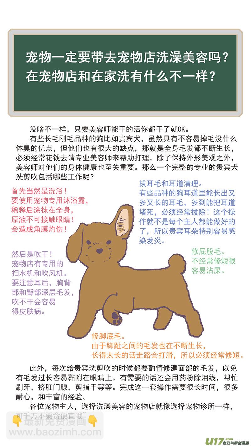 《百足宠物诊所》112 宠物美容 第14页
