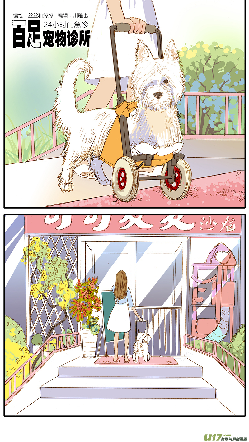 《百足宠物诊所》112 宠物美容 第1页