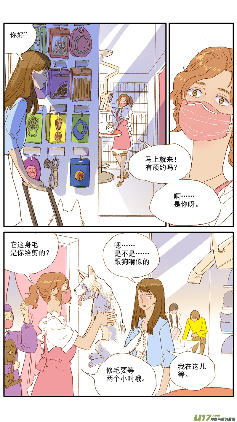 《百足宠物诊所》112 宠物美容 第2页