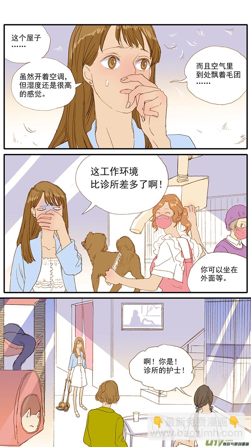 《百足宠物诊所》112 宠物美容 第3页
