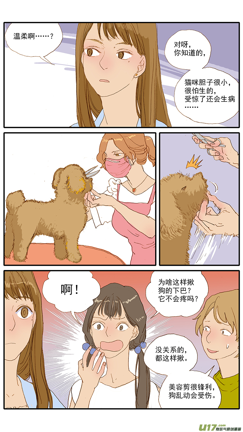 《百足宠物诊所》112 宠物美容 第5页