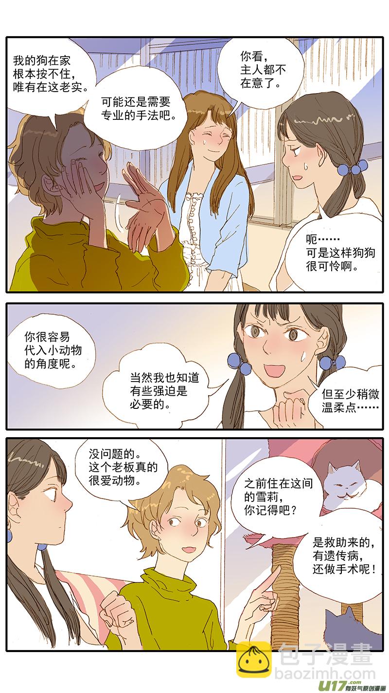《百足宠物诊所》112 宠物美容 第6页