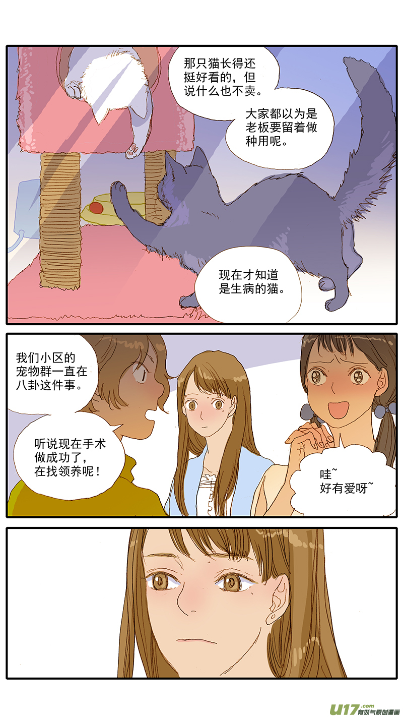 《百足宠物诊所》112 宠物美容 第7页