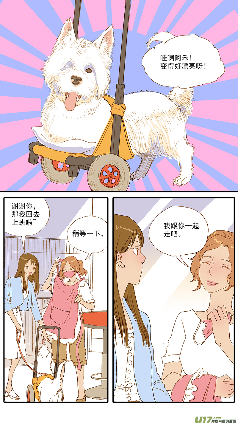 《百足宠物诊所》112 宠物美容 第8页